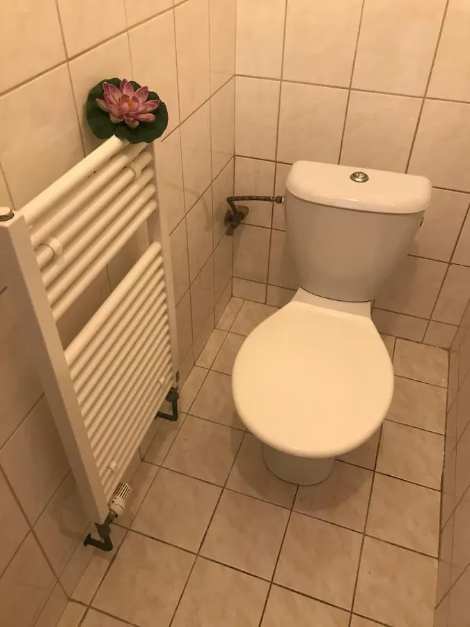 All Seasons Hostel Prag Çek Cumhuriyeti